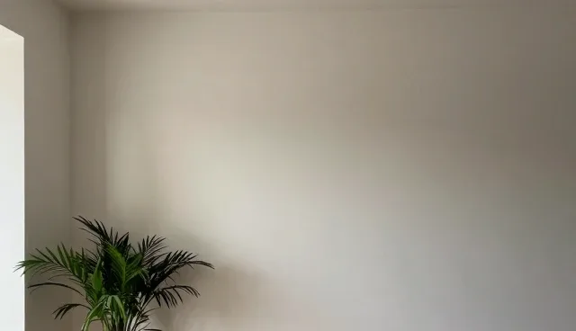 外墙清洗服务中的常见问题及处理方法
